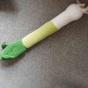 Crochet Pattern Leek Daisies crochet shop