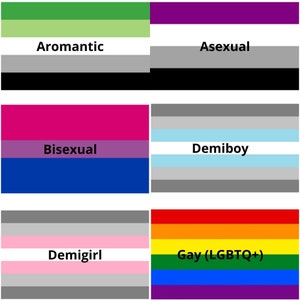 HBTQ-armband Gay pride-smycken Transsexuell bisexuell lesbisk gåva Queer armband fotlänk bild 8