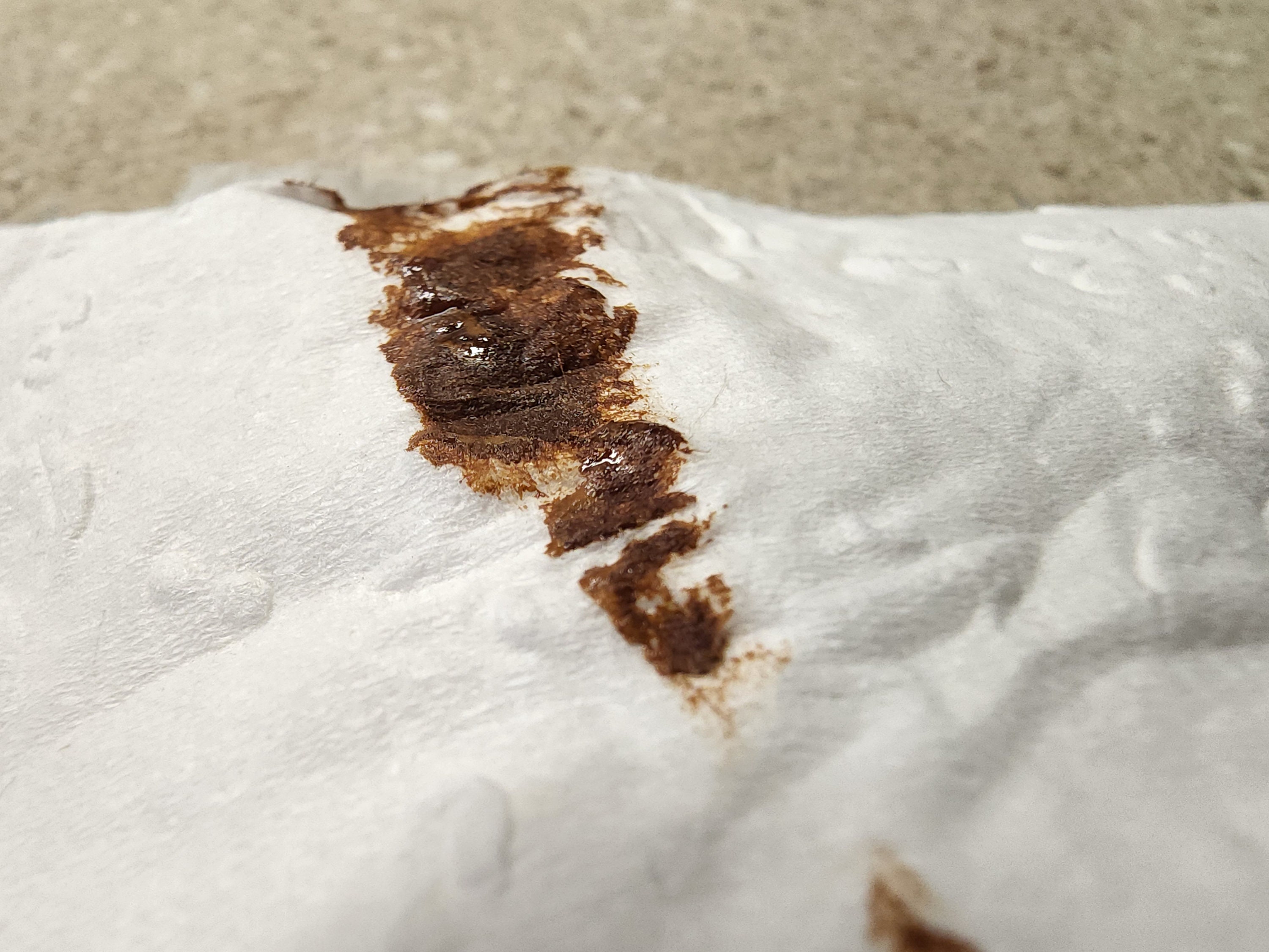 Pinworms On Toilet Paper