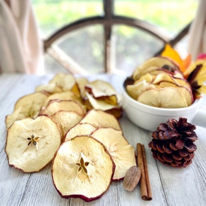 Dried Apple Slices Hand Baked Dehydrated Apples Potpourri Fillers Dried Fruit Garland Natural Christmas Ornaments Crafting with Dried Fruit