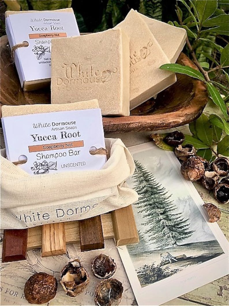 Yucca Root Shampoo Bar UNSCENTED With Care /soapberry Nut/ the Etsy