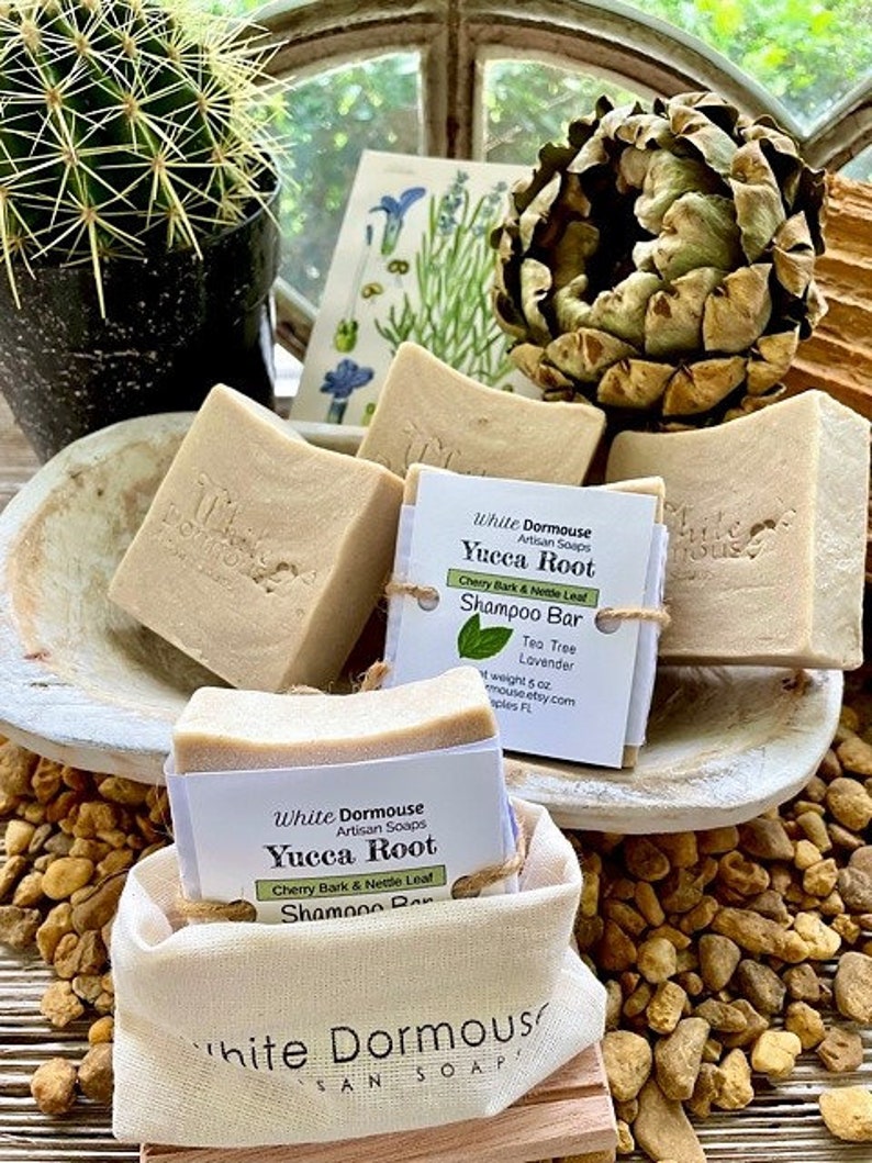 Yucca Root Shampoo Bar Tea Tree Lavender Infused Bay Rum Leaf Etsy