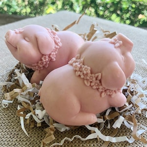 Piglet Guest Soaps Little Betty Lou a Pair of Two Shea Butter Pig Soaps Gardenia Fragrance Gift Wrapped in a White Gable Box with Ribbon