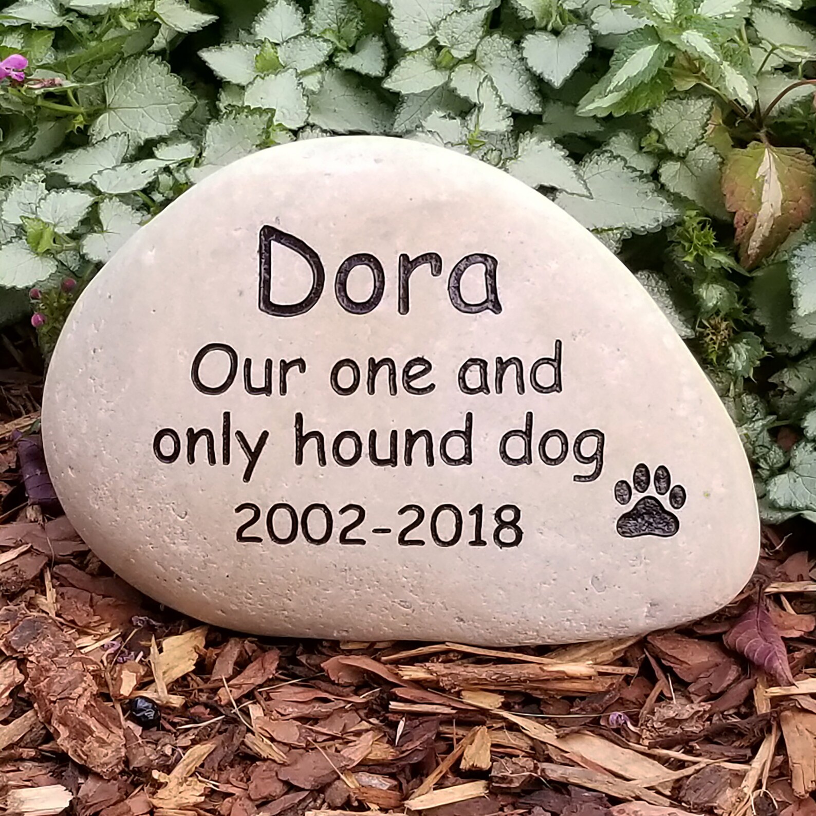 Pet memorial stone 8 to 10 inch wide natural river rock pet Etsy