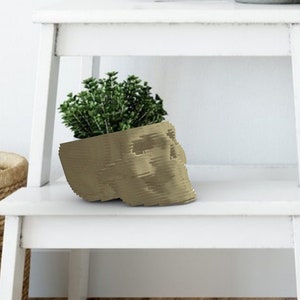 Skull Planter laser cut SVG files . Digital download PDF template DIY planter. Use with laser cutter, cnc router or scroll saw.