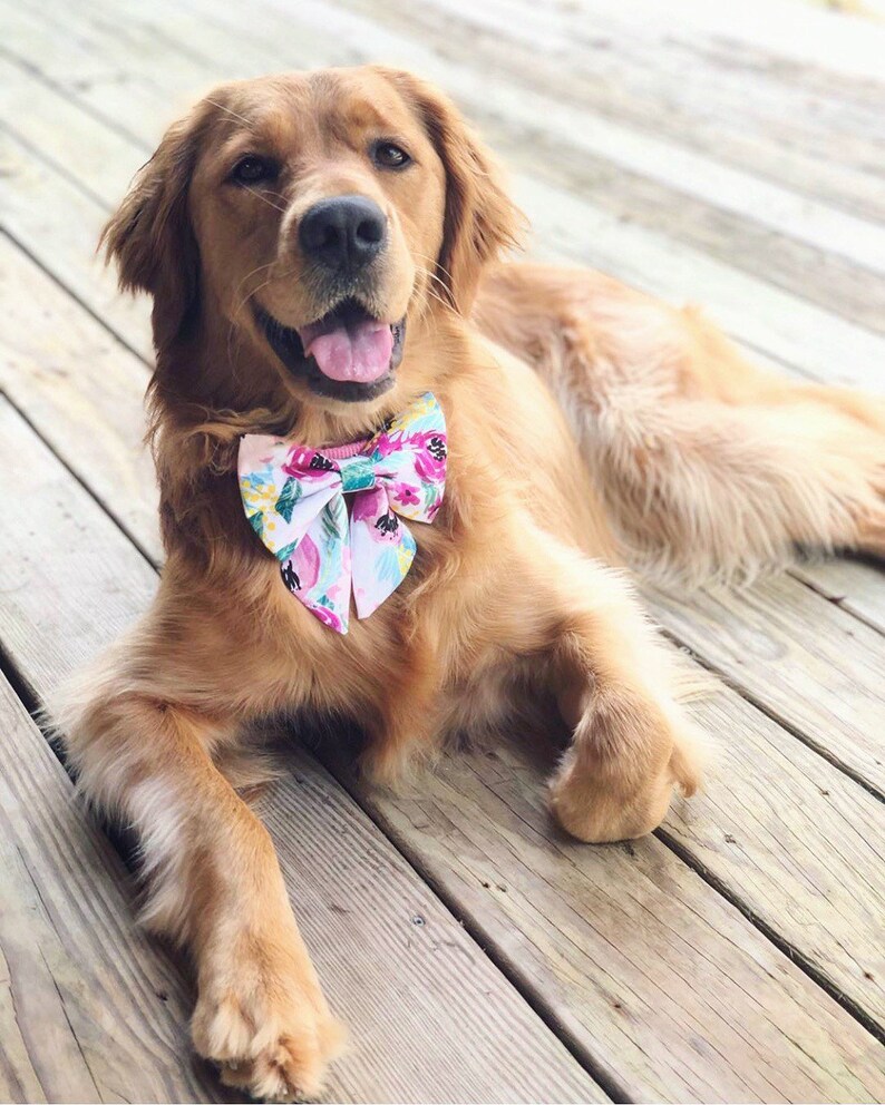 Easter Stripes Dog Bow Tie