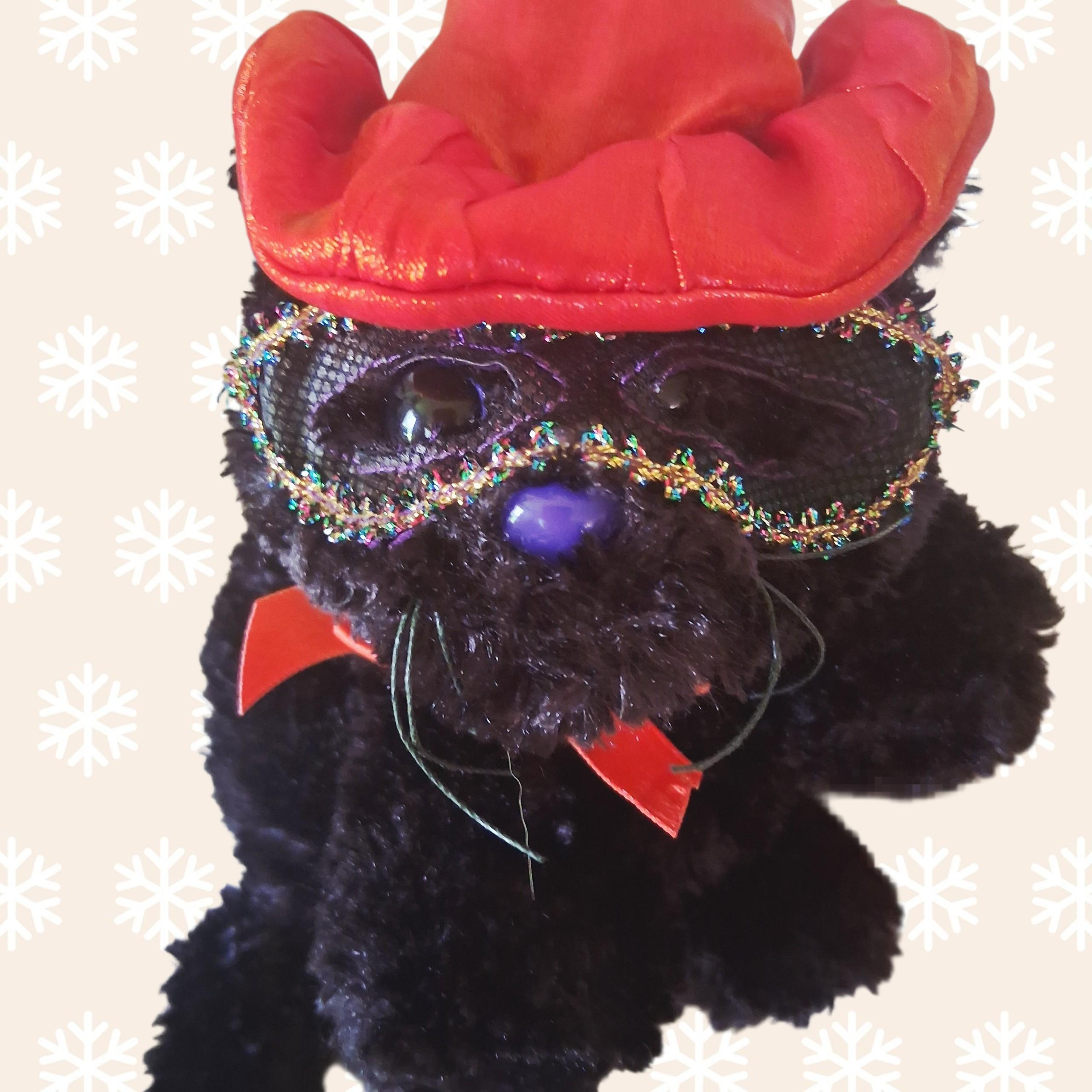 Dandee Cat - Etsy