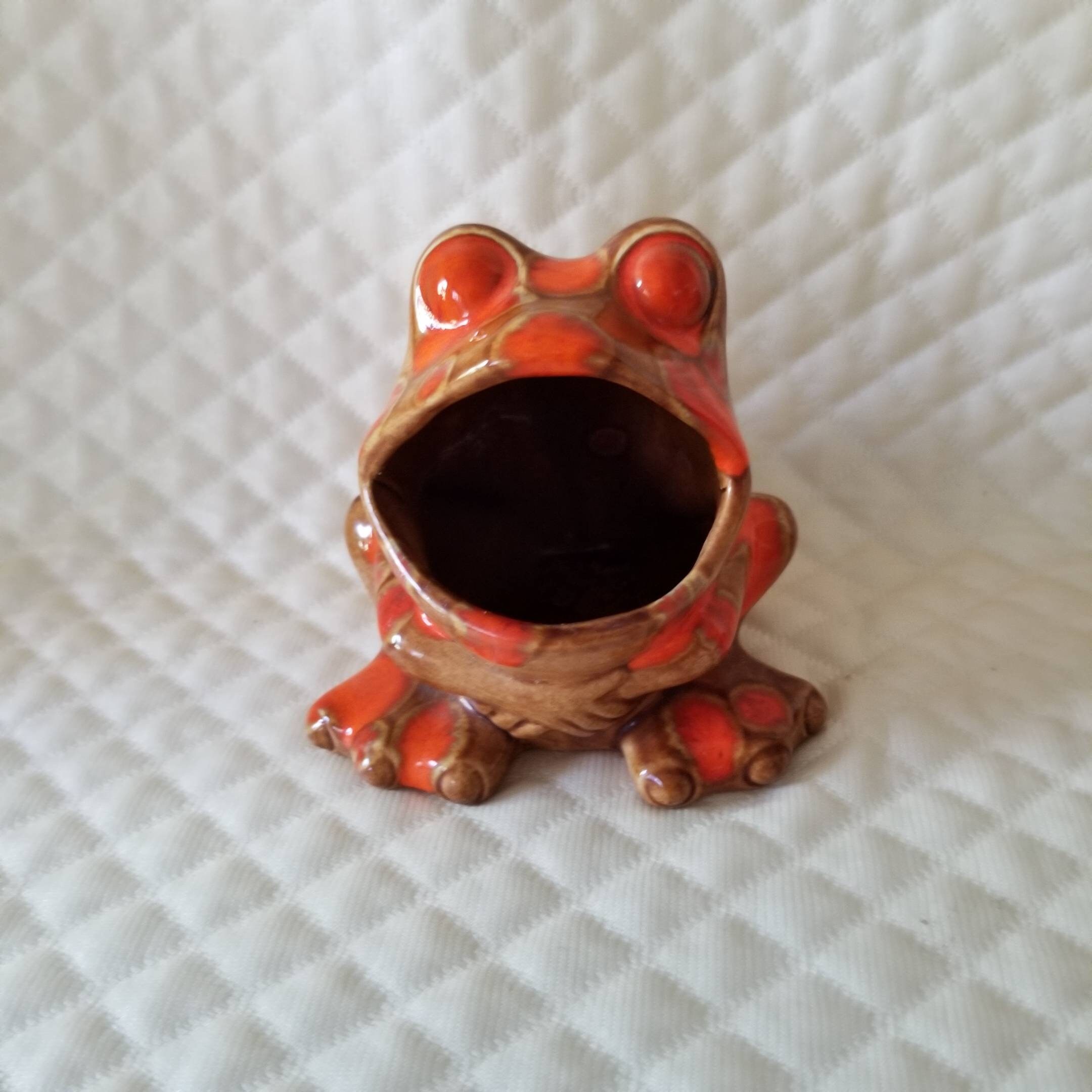 Frog, catch all, toad, sponge holder, Jewelry holder, Happy Froggy, Ceramic  Bisq