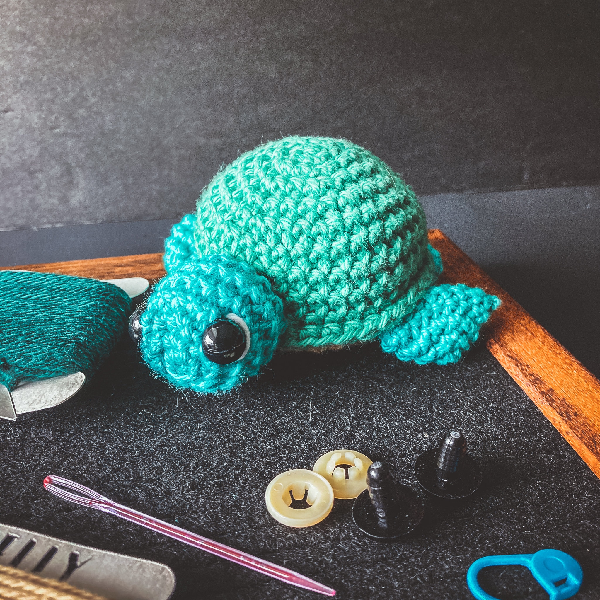 Turtle Amigurumi Kit Easy Beginner Learn to Crochet Etsy UK