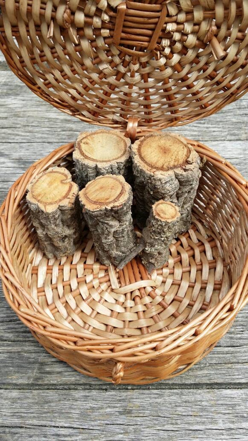 5 Cork Tree wood small log pieces from Portugal as shown in Etsy