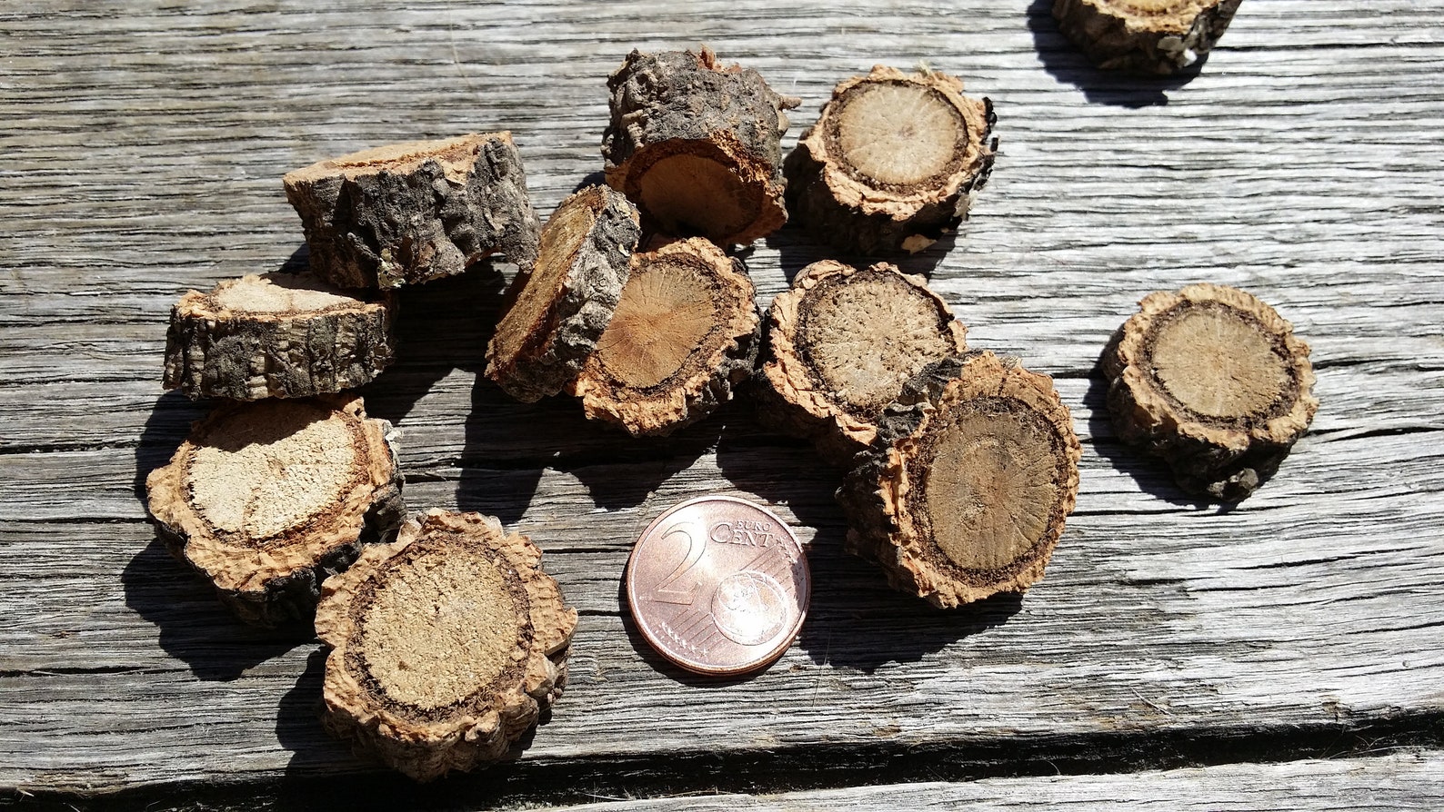 25pcs Natural Cork tree wood slices from Portugal. 2 to 3 cm Etsy