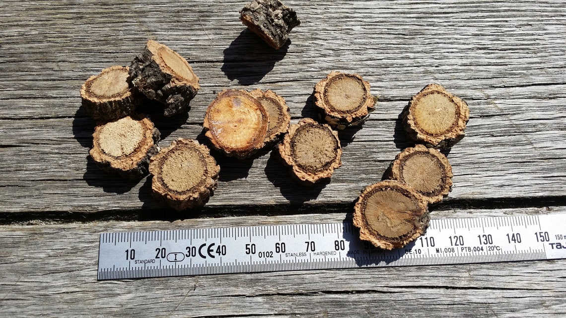 25pcs Natural Cork tree wood slices from Portugal. 2 to 3 cm Etsy