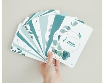 Bébé 34 Cartes Etapes - Collection EUCALYPTUS