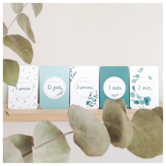 Cartes Etapes Bebe Et Jumeaux Eucalyptus Lot De 26 Cartes Etsy Cartes Etapes Bebe Et Jumeaux Eucalyptus Lot De 26 Cartes Etsy