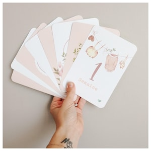 Bébé Cartes Etapes - Collection d'Antan Rose
