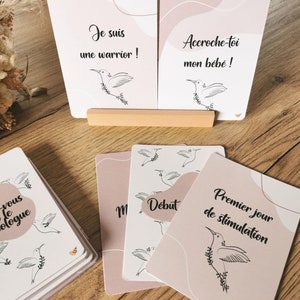 Casal Homo PMA - Cartões de Passo COLIBRI