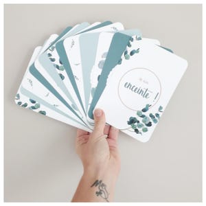 25 carte di Eucalyptus per le tappe fondamentali della gravidanza