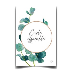 EUCALYPTUS