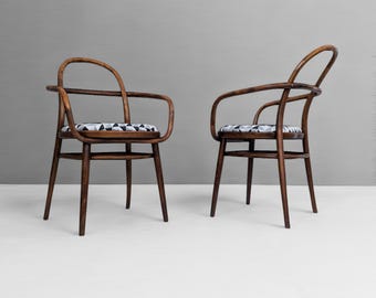 Fauteuils uit het midden van de eeuw van Radomir Hofman voor TON