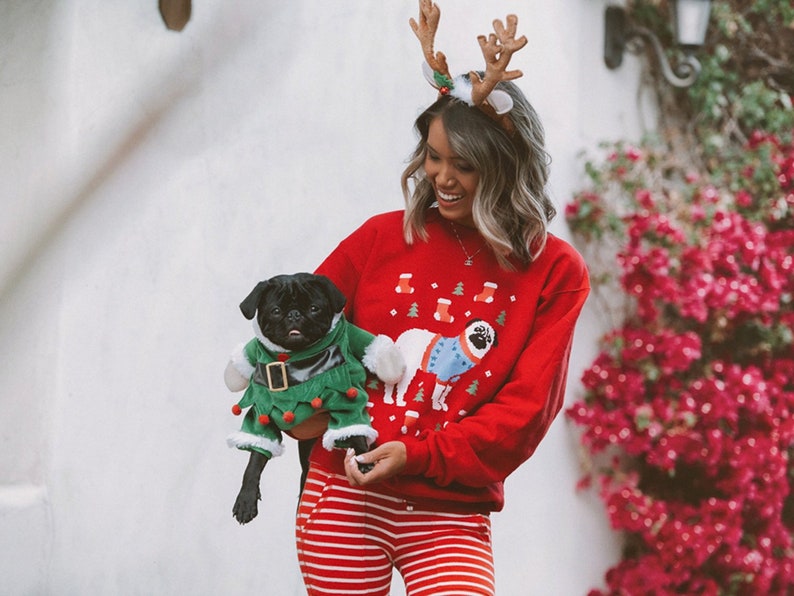 pug xmas sweater