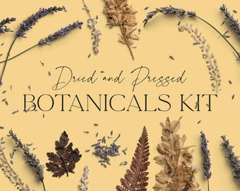 High-Resolution Dried and Pressed Botanicals Kit, Realistic Florals, Foliage for Stationery Mockups, Branding, Social Media Posts, Scrapbook