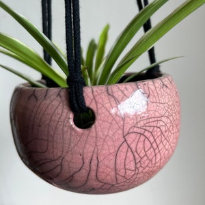 May include: A pink ceramic hanging planter with a crackled glaze and black macrame hanging cords. The planter is filled with a green plant with long, thin leaves.