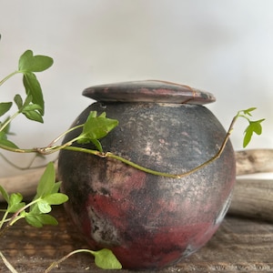 Pode incluir: Uma urna redonda de cerâmica com tampa. A urna é principalmente cinza escuro com detalhes em vermelho e marrom. Vinhas verdes com folhas pequenas são drapeadas ao redor da urna, que está em uma superfície de madeira.