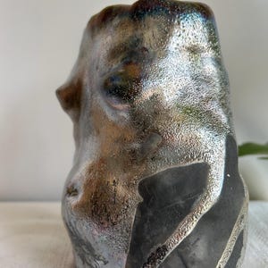 May include: A silver ceramic vase with a textured surface and black accents. The vase has an abstract, organic shape.