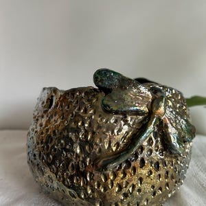 Pode incluir: Um pequeno vaso redondo de cerâmica dourado com uma superfície texturizada. Uma libélula com asas iridescentes está presa ao lado do vaso.
