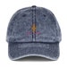 Alpha Kappa Alpha Vintage Cap