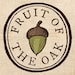 Owner of <a href='https://www.etsy.com/shop/FruitoftheOak?ref=l2-about-shopname&from_page=listing' class='wt-text-link'>FruitoftheOak</a>