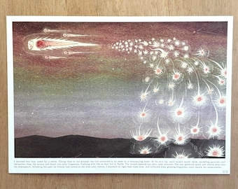 Shooting Star Over Lambsvale