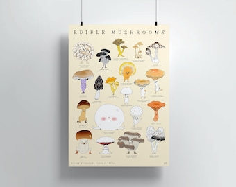 Edible mushrooms print | High quality digital print | Original illustration | Gift for foragers | Botanical poster