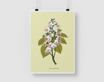 Horse Chestnut | High quality digital print | Original illustration