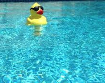 Pool Bath Bomb