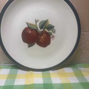 May include: White ceramic plate with a dark blue and green border. The plate features a detailed illustration of two red apples with green leaves and small white flowers. The plate is set on a yellow and green checkered tablecloth.
