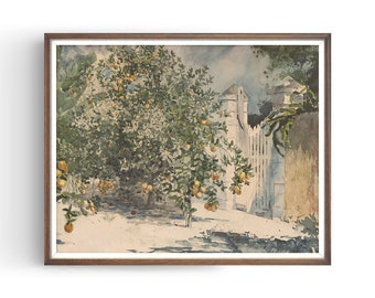Orange Trees - Spanish Kitchen Decor - Watercolour Painting - Farmhouse Decor - Cottage Decor - Fine Art Print - Unframed - PL125
