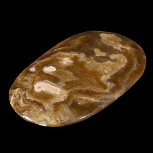 Aragonite Palm Stone (Individual Piece)