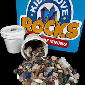 Oops Mining Bucket