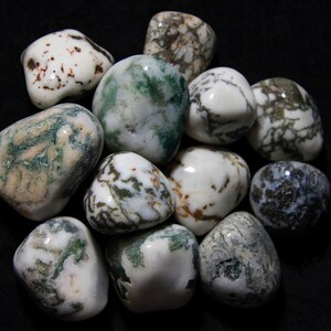 May include: A collection of polished, tumbled stones. The stones are primarily white with green and brown patterns, resembling moss agate. The shapes are rounded and smooth, with variations in the intensity of the colors. The stones are arranged on a black surface.