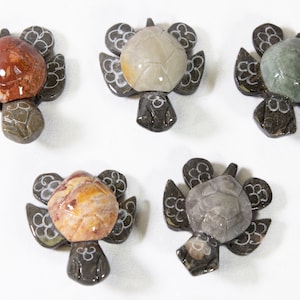 May include: Five hand-carved stone turtle figurines. Each turtle is a different color, including red, brown, gray, green, and white. The turtles are all carved in a similar style, with detailed shells and faces.