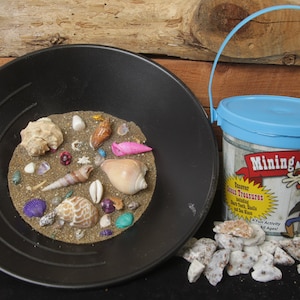 Sea Shell Mining Bucket Buy One Get One Free!