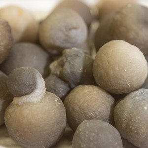 May include: A collection of smooth, round, gray and brown stones with a textured surface. The stones are arranged in a pile.