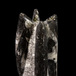 Small Black Orthoceras Tower (7&quot;-10&quot;)