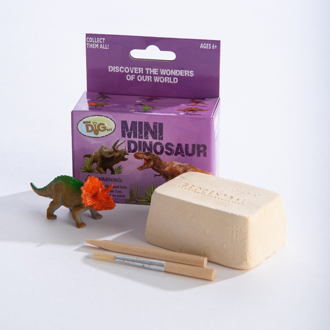 Dinosaur dig kits deals