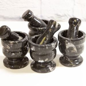 Black Orthoceras Mortar and Pestle- Mini