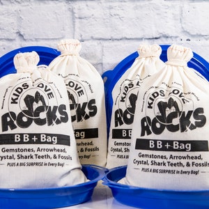 Big Bag Plus Surprise Party Pack of 4 bags with 4 Sifters, BB+, Free US Shipping