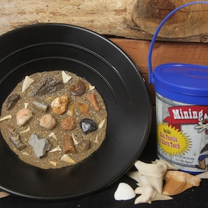 Shark Teeth & Fossils mining bucket Blue Bucket (Free Shipping)