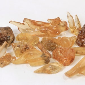 May include: A collection of amber stones in various shapes and sizes. The stones are a mix of translucent and opaque, with shades of yellow, orange, and brown.