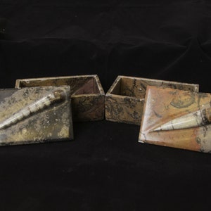 May include: Two small, rectangular boxes made of brown and black marbled stone. Each box has a fossilized, white, and brown,  pointed object embedded in the top.
